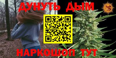 прущие крисы Обь