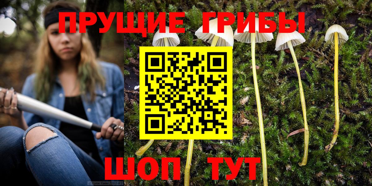 Галлюциногенные грибы MAGIC MUSHROOMS Тайшет