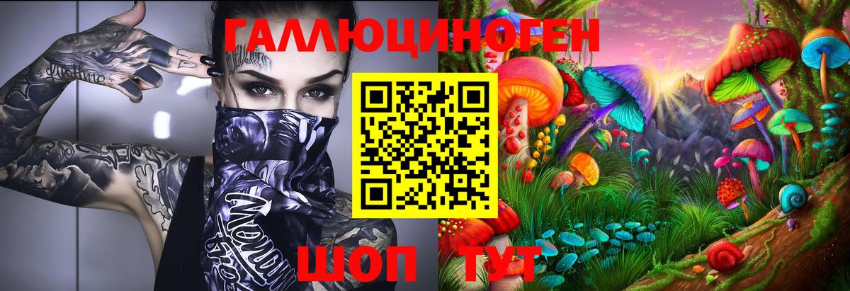 Тайшет  Псилоцибиновые грибы ЛСД  Вход с VPN 