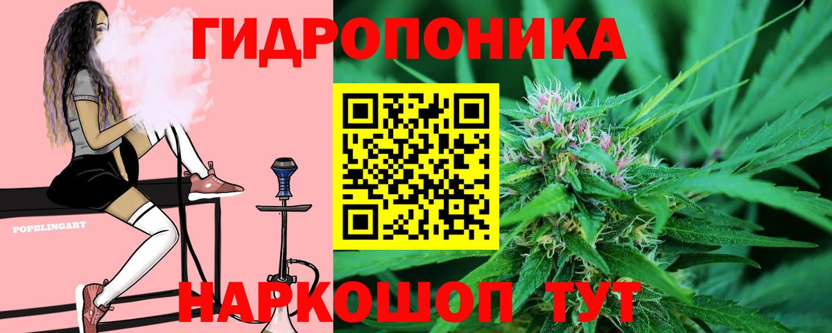 Шишки марихуана сатива Тайшет